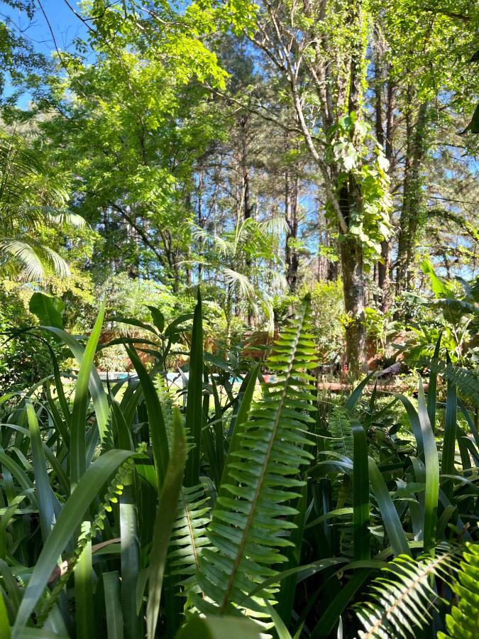 Casa Jaguar Villa Puerto Iguazú Kültér fotó