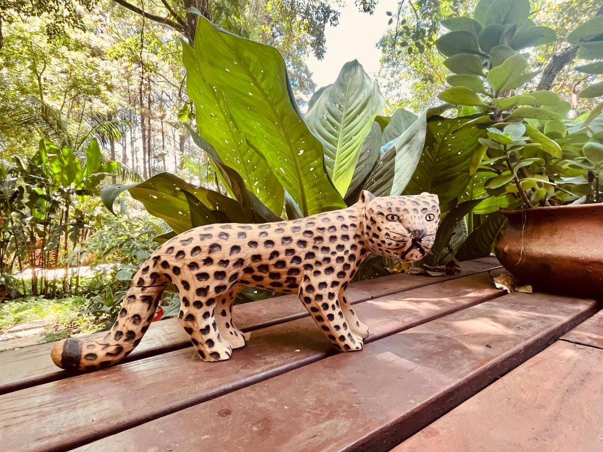 Casa Jaguar Villa Puerto Iguazú Kültér fotó